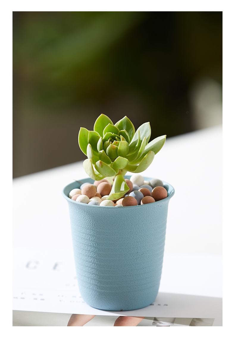 Mini Size Succulent Nursery Flower pot