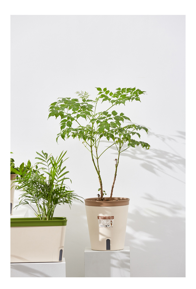 Self Watering Flower Pot for indoor Planters