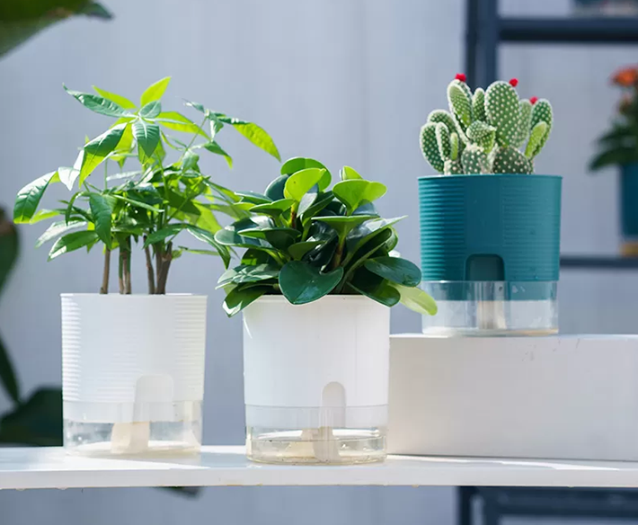 Self-Watering Flower Pot: A Convenient Solution for Plant Care