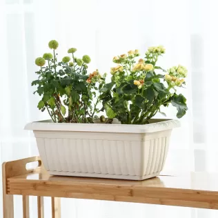 Rectangle Vegetable Plant Pots