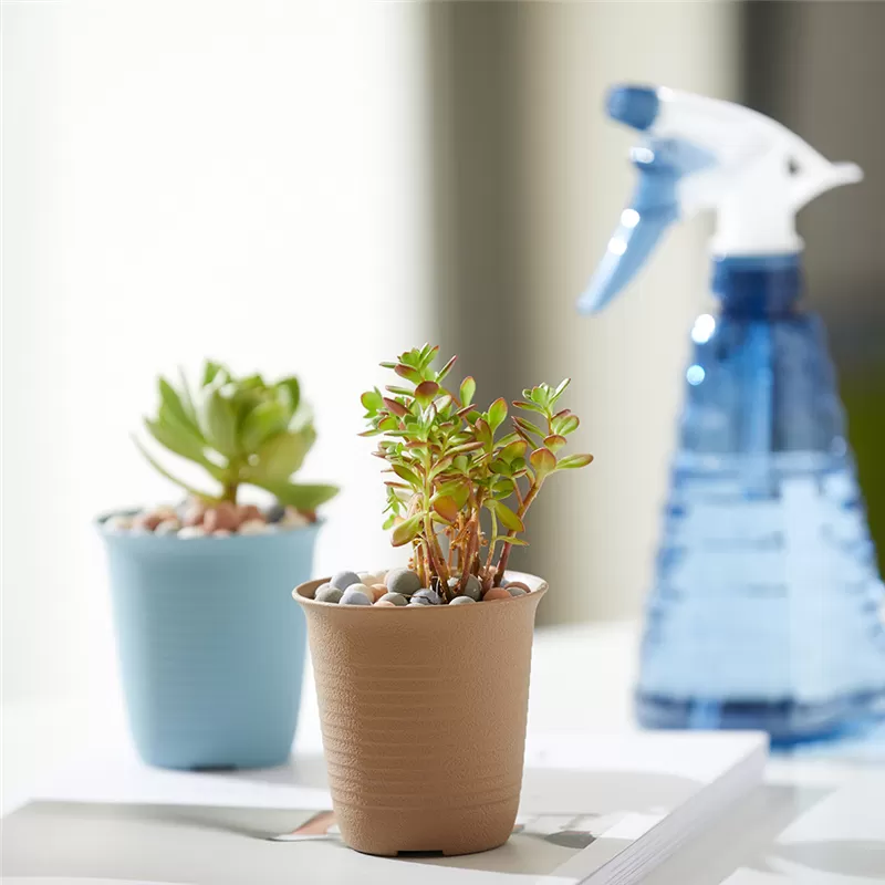 Mini Size Succulent Nursery Flower pot