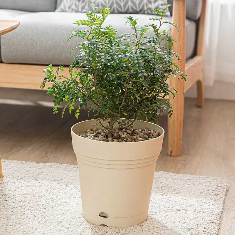 Indoor small flower planter pots plants plastic pot