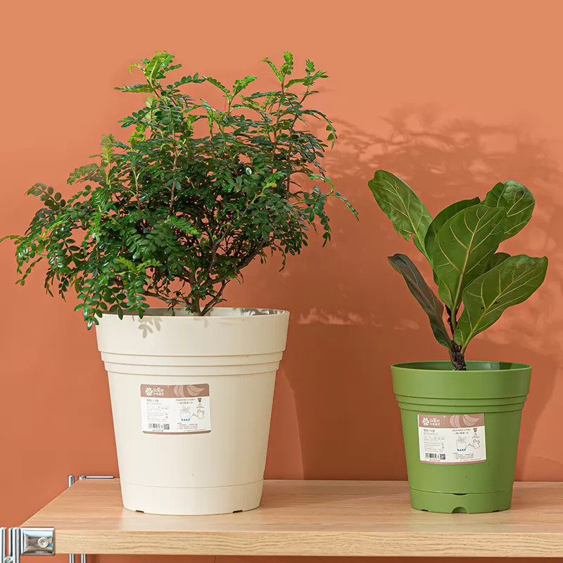 Indoor small flower planter pots plants plastic pot