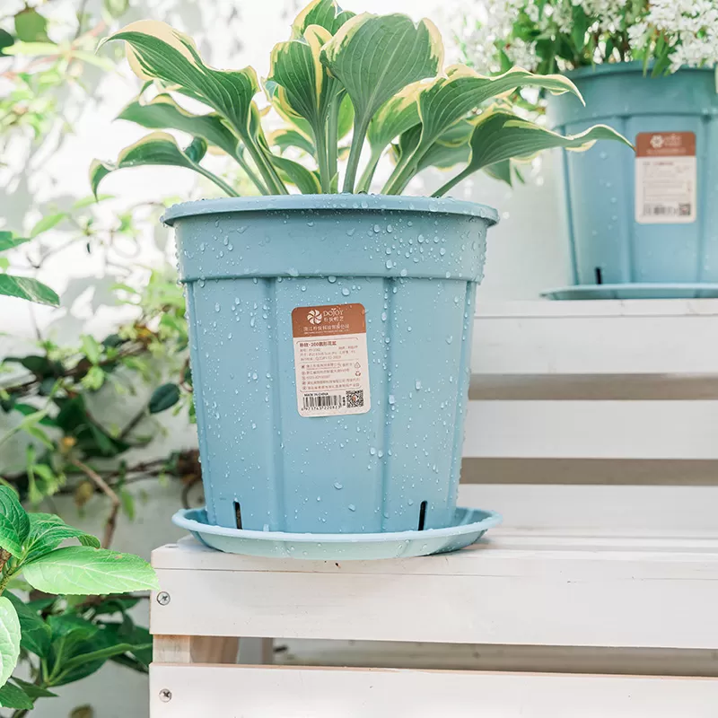 China garden blue big flower pot plastic outdoor pots