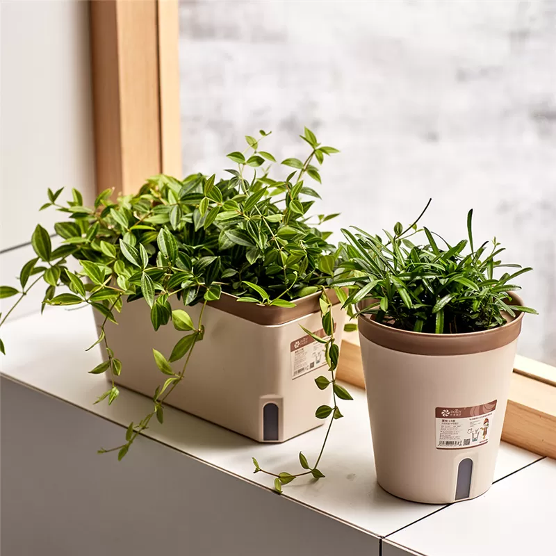 Self Watering Flower Pot for indoor Planters