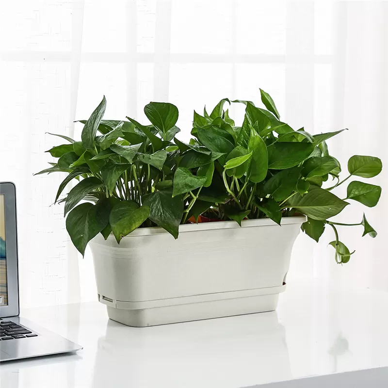 Professional Garden Suppliers Self Watering Plant Pot