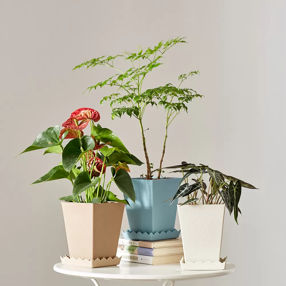 Artificial Decorative Indoor Rectangular Plastic Flower Pot