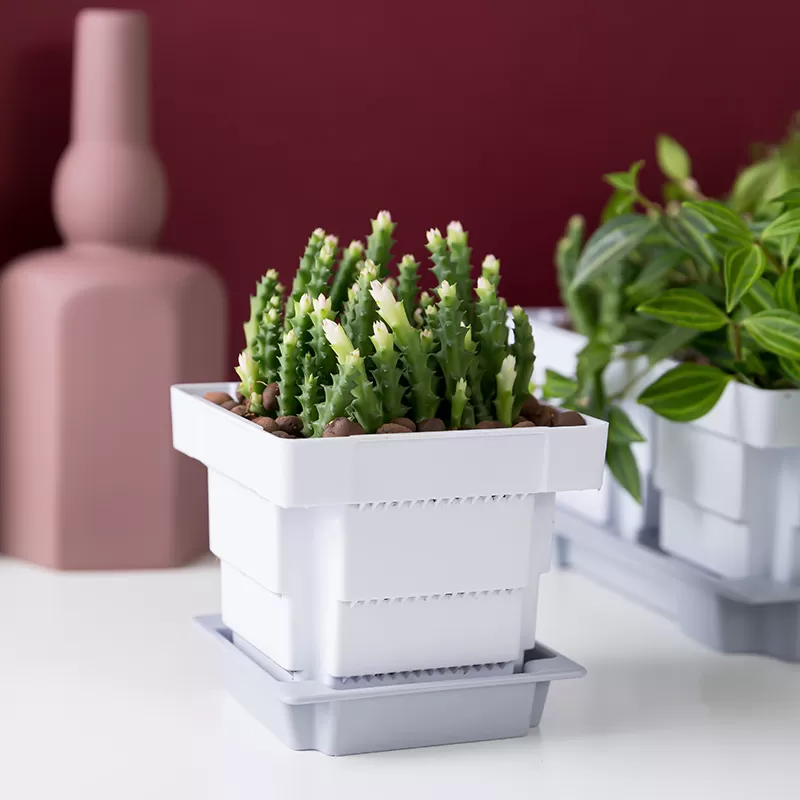 Plastic Succulent Pot Desktop Flower Pots
