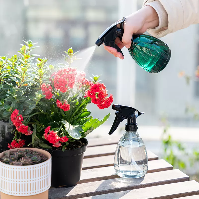 400ml Plastic Hand Pump Garden Sprayer water Spray Can